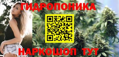 стафф Пугачёв