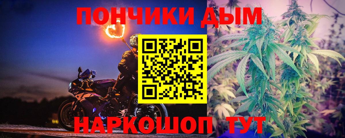 Шишки марихуана семена  Марихуана планчик  Шишки марихуана VHQ  Вход с VPN  Ставрополь 